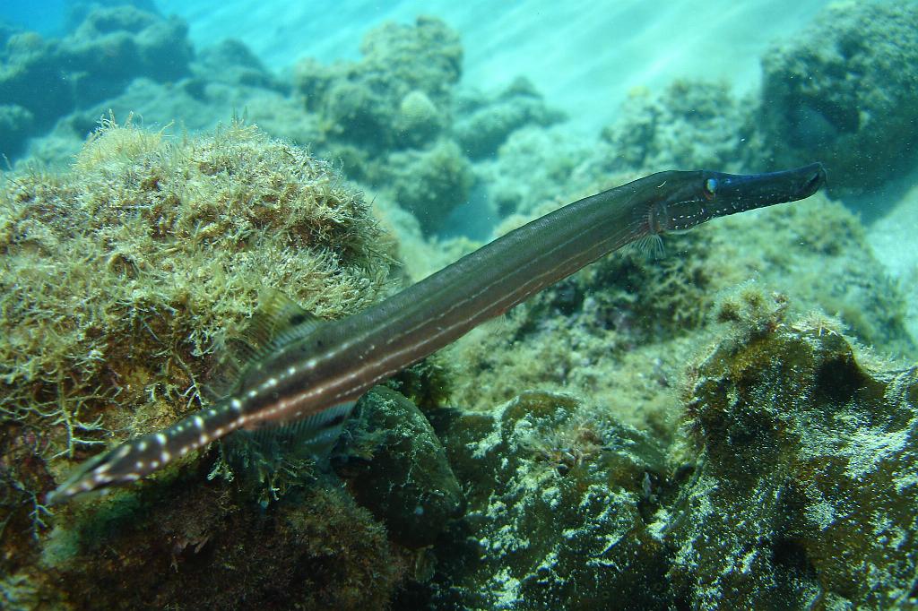 2008-05-19 16-55-15.JPG